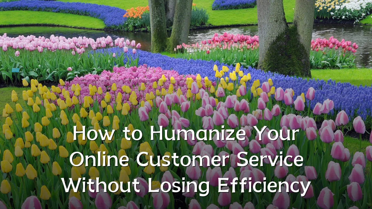 How to Humanize Your Online Customer Service Without Losing Efficiency