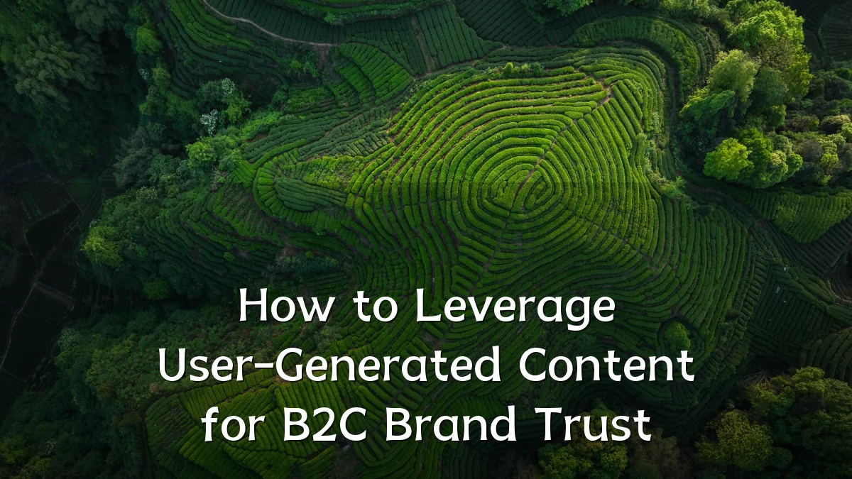 How to Leverage User-Generated Content for B2C Brand Trust