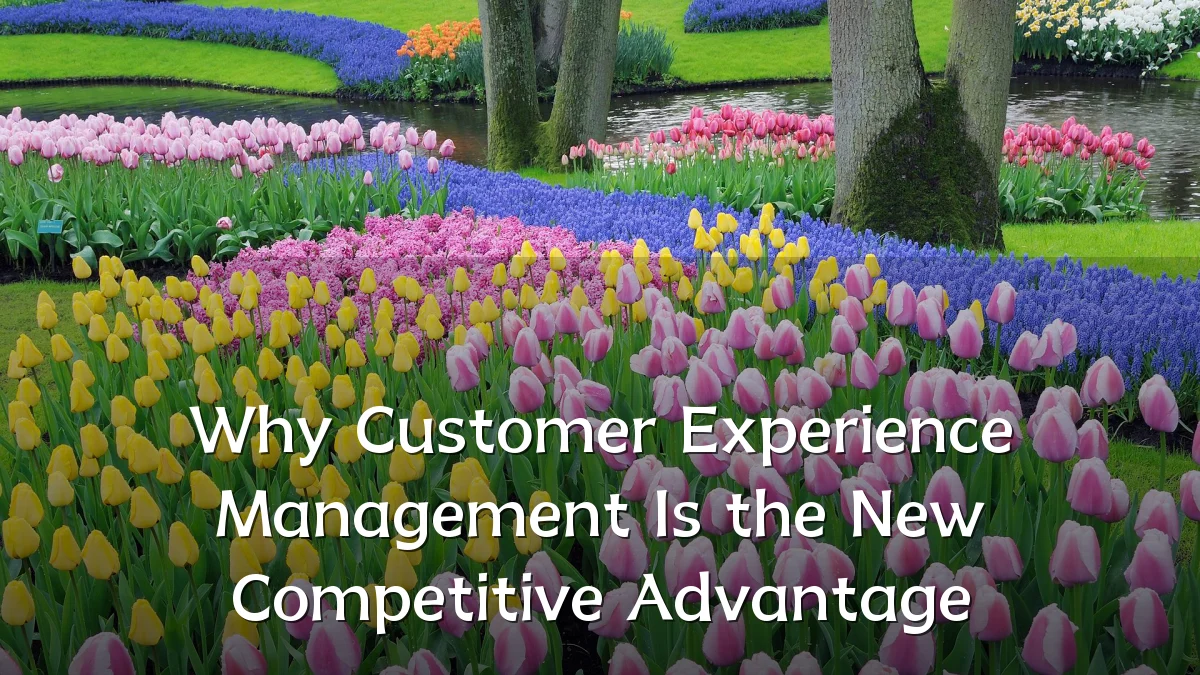 Why Customer Experience Management Is the New Competitive Advantage